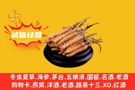 高台县回收冬虫夏草